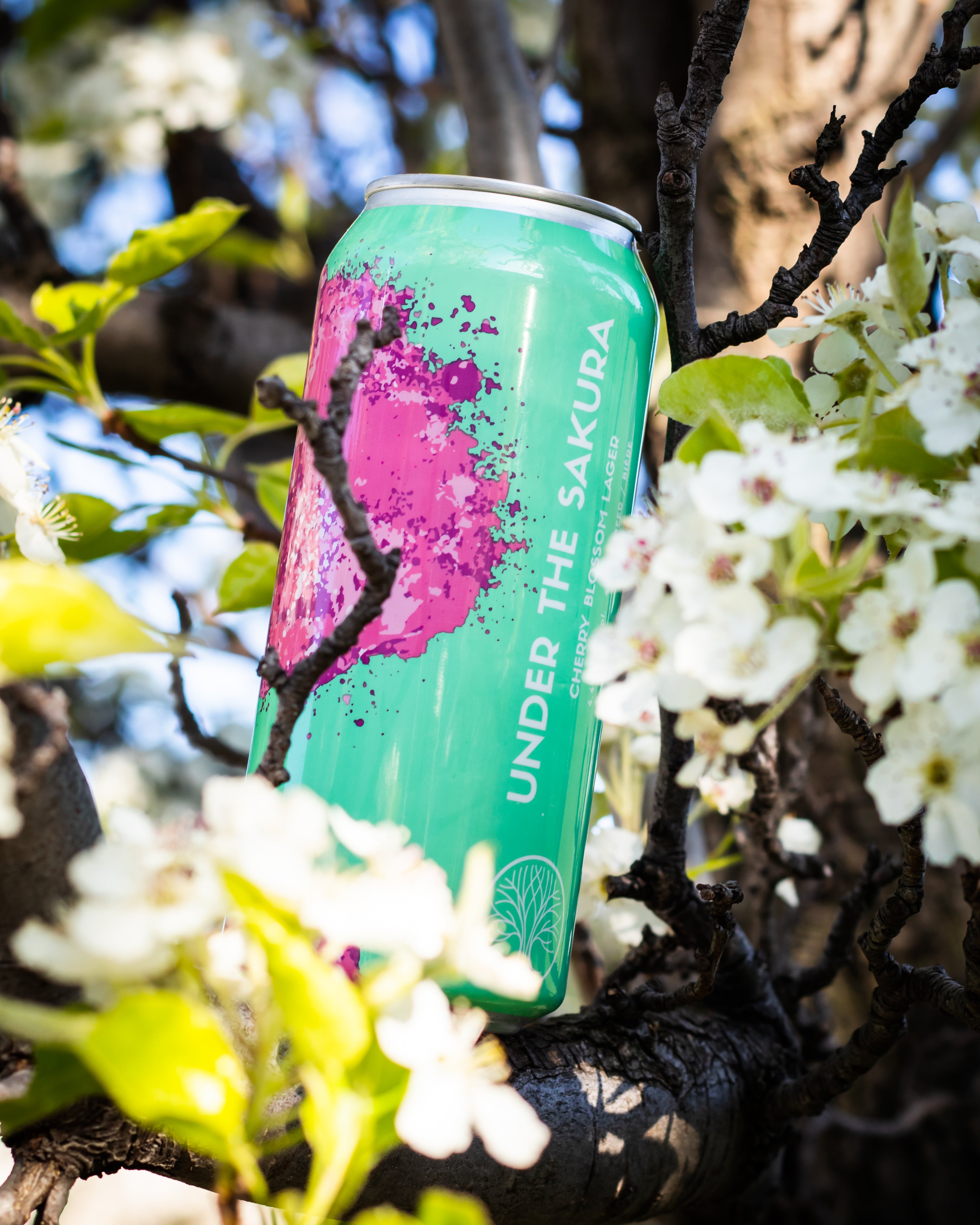 Under the Sakura – The Bottle Shop - Lost Craft, High Park, Dejado